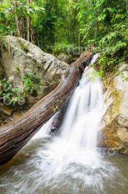 Small waterfall in rainforest