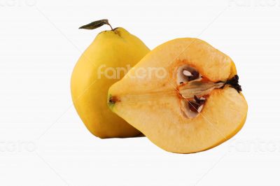 Quince Cut