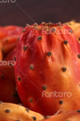 Nopal Macro on the wood Nopal Macro on the wood