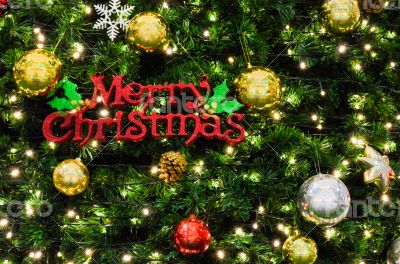 Merry Christmas sign on the tree