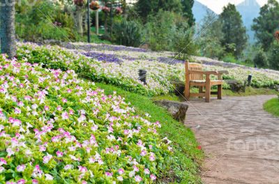 Chair in the flower garden