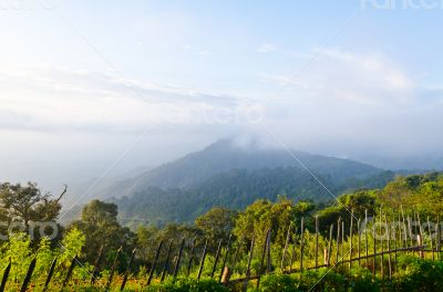 Viewpoint Doi Ang Khang mountains in Chiang Mai province of Thai