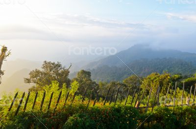 Viewpoint Doi Ang Khang mountains in Chiang Mai province of Thai
