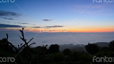Landscape sea of mist on sunrise view from high mountain