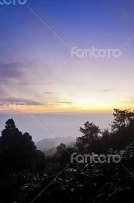 Landscape sea of mist on sunrise view from high mountain