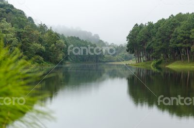 Nature landscape at dawn of lakes and pine forests