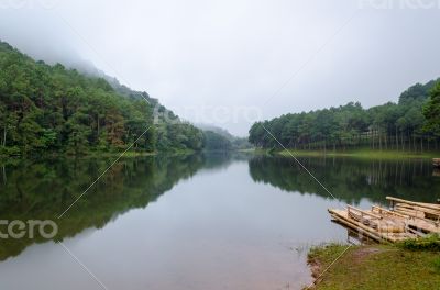 Nature landscape at dawn of lakes and pine forests Nature landscape at dawn of lakes and pine forests