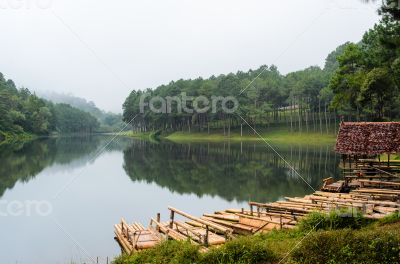 Raft bamboo lake and pine forest at morning