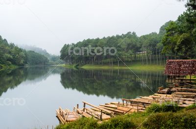 Raft bamboo lake and pine forest at morning Raft bamboo lake and pine forest at morning