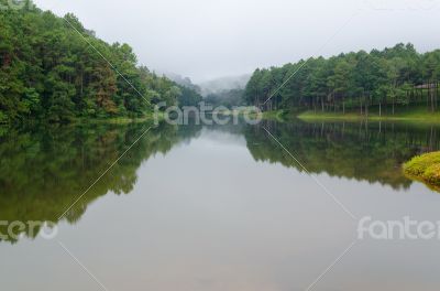 Nature landscape at dawn of lakes and pine forests