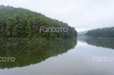 Nature landscape at dawn of lakes and pine forests