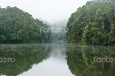 Nature landscape at dawn of lakes and pine forests