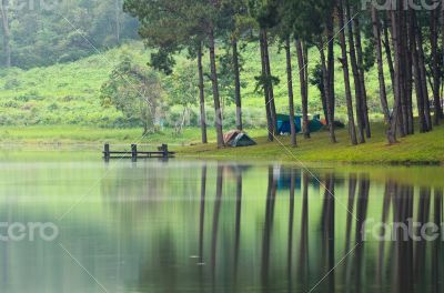 Morning atmosphere campsite on a lake in the pine forest