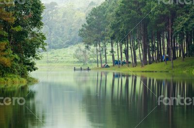 Morning atmosphere campsite on a lake in the pine forest