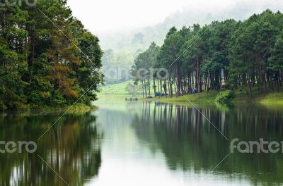 Morning atmosphere campsite on a lake in the pine forest