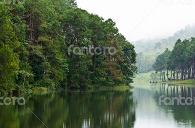 Nature landscape at morning of lakes and pine forests