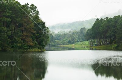 Nature landscape at morning of lakes and pine forests Nature landscape at morning of lakes and pine forests