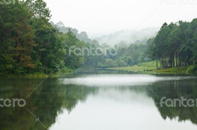 Nature landscape at morning of lakes and pine forests