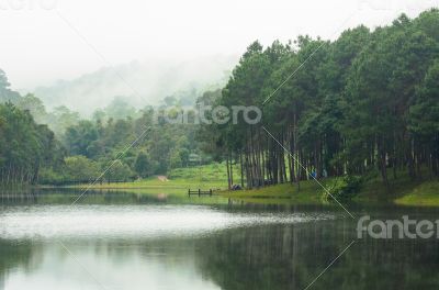 Nature landscape at morning of lakes and pine forests