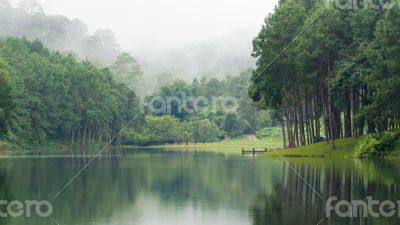 Nature landscape at morning of lakes and pine forests