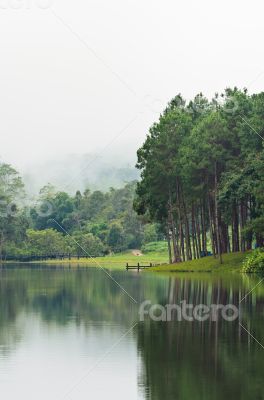 Nature landscape at morning of lakes and pine forests