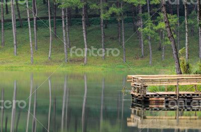 Pang Ung, Beautiful forest lake in the morning Pang Ung, Beautiful forest lake in the morning