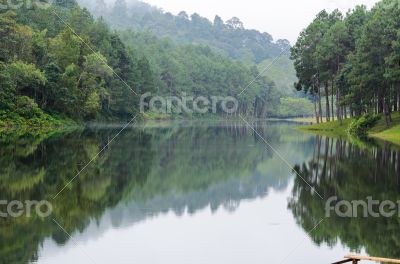 Nature landscape at morning of lakes and pine forests