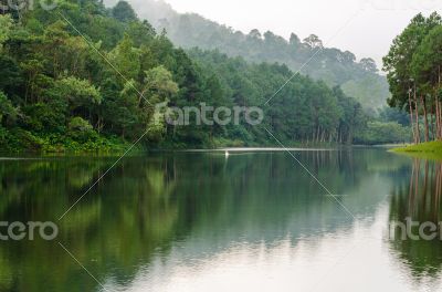 Nature landscape at morning of lakes and pine forests