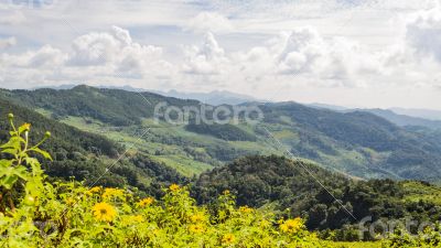 Landscape high mountain range at Doi Mae U Ko