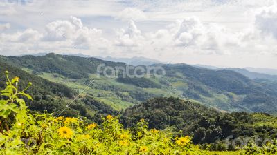 Landscape high mountain range at Doi Mae U Ko Landscape high mountain range at Doi Mae U Ko