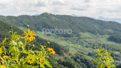 Landscape high mountain range at Doi Mae U Ko