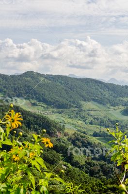 Landscape high mountain range at Doi Mae U Ko