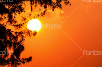 Silhouette sunset Silhouette sunset