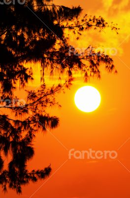 Silhouette sunset Silhouette sunset