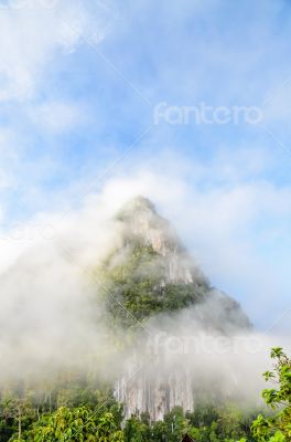 Lush high mountains covered by mist