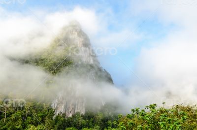 Lush high mountains covered by mist