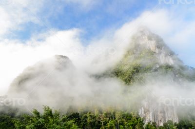 Lush high mountains covered by mist