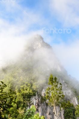 Lush high mountains covered by mist