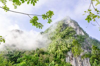 Lush high mountains covered by mist