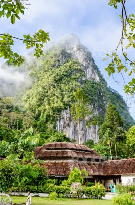 Lush high mountains covered by mist