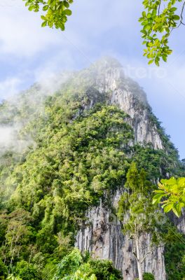 Lush high mountains covered by mist