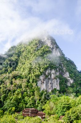 Lush high mountains covered by mist