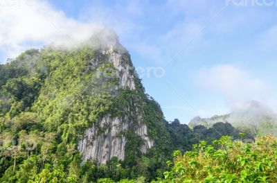 Lush high mountains covered by mist