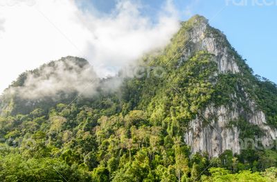 Lush high mountains covered by mist