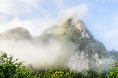 Lush high mountains covered by mist