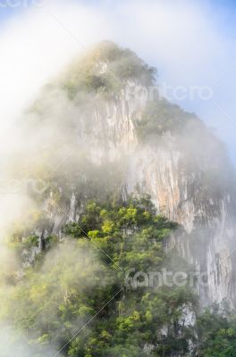 Lush high mountains covered by mist