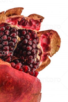 Macro Pomegranate Macro Pomegranate