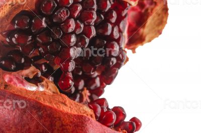 Macro Pomegranate Open