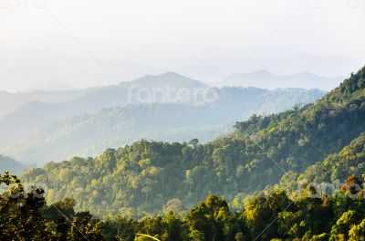 High angle view forest mountain and sky