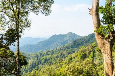 High angle view forest mountain and sky